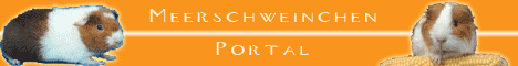 Web: Meerschweinchenportal